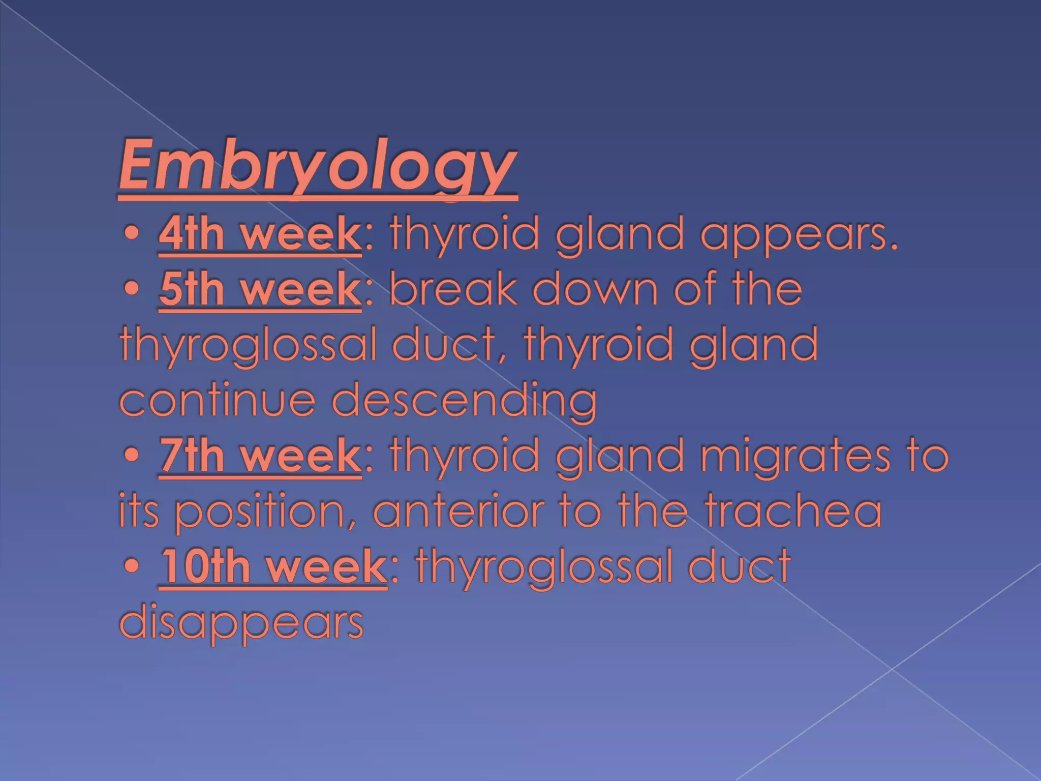Embryology• 4th week: thyroid gland appears.• 5th week: break down of the thyroglossal duct, thyroid gland continue descending• 7th week: thyroid gland migrates to its position, anterior to the trachea• 10th week: thyroglossal duct disappears
