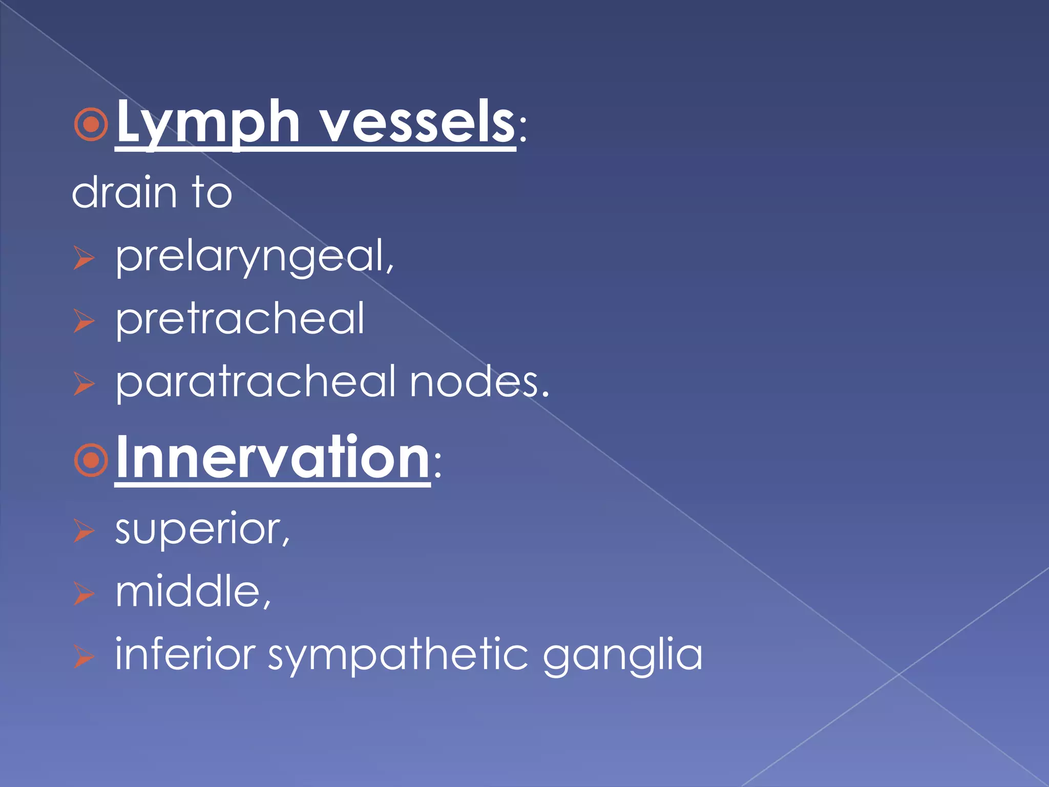 Lymph vessels: drain to prelaryngeal, 