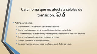 • Adenocarcinoma.
• Representan <2 % de todos los canceres vesicales.
• Los primarios pueden verse precedidos por cistitis y metaplasia.
• Secretan moco y pueden tener patrones glandulares coloides o de sello en anillo.
• Los primarios suelen surgir en el piso de la vejiga.
• Suelen localizarse al momento del Dx.
• La supervivencia a 5 años es de <40 % a pesar deTx Qx agresivo.
Carcinoma que no afecta a células de
transición. 😒🔬
 
