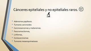 • Adenomas papilosos.
• Tumores carcinoides
• Carcinosarcomas y melanomas.
• Feocromocitomas,
• Linfomas,
• Coriocarcinomas
• Tumores mesenquimatosos
Cánceres epiteliales y no epiteliales raros. 😒
🔬
 
