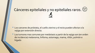 • Los canceres de próstata, el cuello uterino y el recto pueden afectar a la
vejiga por extensión directa.
• Los tumores mas comunes por metástasis a partir de la vejiga son (en orden
de incidencia) melanoma, linfoma, estomago, mama, riñón, pulmón e
hígado
Cánceres epiteliales y no epiteliales raros. 😒
🔬
 