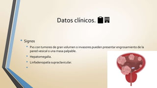 • Signos
• Pxs con tumores de gran volumen o invasores pueden presentar engrosamiento de la
pared vesical o una masa palpable.
• Hepatomegalia.
• Linfadenopatía supraclavicular.
•
Datos clínicos. 📋🏢
 