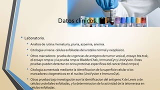 • Laboratorio.
• Análisis de rutina: hematuria, piuria, azoemia, anemia.
• Citología urinaria: células exfoliadas del urotelio normal y neoplásico.
• Otros marcadores: prueba de urgencias de antigeno de tumor vesical, ensayo bta trak,
el ensayo nmp22 y la prueba nmp22 BladderChek, ImmunoCyt y UroVysion. Estas
pruebas pueden detectar en orina proteinas especificas del cancer (bta/ nmp22)
• Citologia aumentada mediante la identificacion de la superficie celular o los
marcadores citogeneticos en el nucleo (UroVysion e ImmunoCyt).
• Otras pruebas bajo investigación son la identificacion del antigeno X de Lewis o de
celulas uroteliales exfoliadas, y la determinacion de la actividad de la telomerasa en
celulas exfoliadas.
Datos clínicos. 📋🏢
 