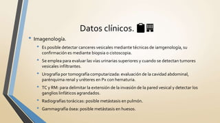 • Imagenología.
• Es posible detectar canceres vesicales mediante técnicas de iamgenología, su
confirmación es mediante biopsia o cistoscopia.
• Se emplea para evaluar las vías urinarias superiores y cuando se detectan tumores
vesicales infiltrantes.
• Urografía por tomografía computarizada: evaluación de la cavidad abdominal,
parénquima renal y uréteres en Px con hematuria.
• TC y RM: para delimitar la extensión de la invasión de la pared vesical y detectar los
ganglios linfáticos agrandados.
• Radiografías torácicas: posible metástasis en pulmón.
• Gammagrafía ósea: posible metástasis en huesos.
Datos clínicos. 📋🏢
 