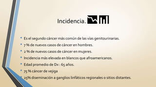 Incidencia. 📉 📊
• Es el segundo cáncer más común de las vías genitourinarias.
• 7 % de nuevos casos de cáncer en hombres.
• 2 % de nuevos casos de cáncer en mujeres.
• Incidencia más elevada en blancos que afroamericanos.
• Edad promedio de Dx : 65 años.
• 75 % cáncer de vejiga
• 25% diseminación a ganglios linfáticos regionales o sitios distantes.
 