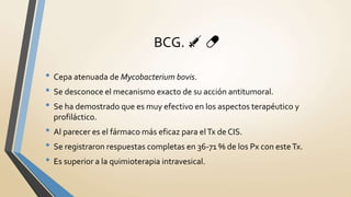 • Cepa atenuada de Mycobacterium bovis.
• Se desconoce el mecanismo exacto de su acción antitumoral.
• Se ha demostrado que es muy efectivo en los aspectos terapéutico y
profiláctico.
• Al parecer es el fármaco más eficaz para elTx de CIS.
• Se registraron respuestas completas en 36-71 % de los Px con esteTx.
• Es superior a la quimioterapia intravesical.
BCG. 💉 💊
 