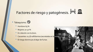 Factores de riesgo y patogénesis. 🚧 🚨
• Tabaquismo. 🚭
• Hombres 65 %
• Mujeres 20-30 %
• En relación con la dosis.
• Causantes: α y β-naftilamina (secretadas en la orina).
• El riesgo disminuye al dejar de fumar.
 