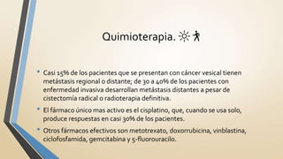 Quimioterapia. 🔆 🚶
• Casi 15% de los pacientes que se presentan con cáncer vesical tienen
metástasis regional o distante; de 30 a 40% de los pacientes con
enfermedad invasiva desarrollan metástasis distantes a pesar de
cistectomía radical o radioterapia definitiva.
• El fármaco único mas activo es el cisplatino, que, cuando se usa solo,
produce respuestas en casi 30% de los pacientes.
• Otros fármacos efectivos son metotrexato, doxorrubicina, vinblastina,
ciclofosfamida, gemcitabina y 5-fluorouracilo.
 