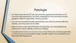 Patología
• La mayor parte de losTCC de vías urinarias superiores se localizan en el
momento del diagnostico; los sitios metastáticos mas comunes incluyen
ganglios linfáticos regionales, hueso y pulmón.
• Los carcinomas epidermoides representan casi 10% de canceres pélvicos
renales y son muy raros en el uréter.
• Estos tumores suele identificárseles en pacientes con antecedentes de
inflamacion crónica debida a infeccion o litiasis.
• Los adenocarcinomas son tumores muy raros de las vias urinarias superiores
y, como los carcinomas epidermoides, tienden a estar muy avanzados en el
momento del diagnostico.
 
