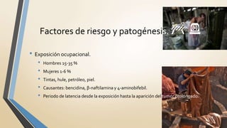 • Exposición ocupacional.
• Hombres 15-35 %
• Mujeres 1-6 %
• Tintas, hule, petróleo, piel.
• Causantes: bencidina, β-naftilamina y 4-aminobifebil.
• Periodo de latencia desde la exposición hasta la aparición del tumor prolongado.
Factores de riesgo y patogénesis. 🚧 🚨
 