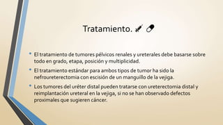 Tratamiento. 💉 💊
• El tratamiento de tumores pélvicos renales y ureterales debe basarse sobre
todo en grado, etapa, posición y multiplicidad.
• El tratamiento estándar para ambos tipos de tumor ha sido la
nefroureterectomia con escisión de un manguillo de la vejiga.
• Los tumores del uréter distal pueden tratarse con ureterectomia distal y
reimplantación ureteral en la vejiga, si no se han observado defectos
proximales que sugieren cáncer.
 