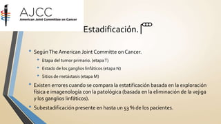 Estadificación. 🚥
• SegúnThe American Joint Committe on Cancer.
• Etapa del tumor primario. (etapaT)
• Estado de los ganglios linfáticos (etapa N)
• Sitios de metástasis (etapa M)
• Existen errores cuando se compara la estatificación basada en la exploración
física e imagenología con la patológica (basada en la eliminación de la vejiga
y los ganglios linfáticos).
• Subestadificación presente en hasta un 53 % de los pacientes.
 