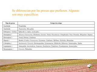 Se diferencian por las presas que prefieren. Algunas son muy específicas