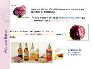 Normalmente as substâncias manifestam o seu comportamento ácido ou básico quando dissolvidas em água.  Quando uma solução não é ácida nem básica (ou alcalina) diz-se neutra.Ácidos e BasesPaula Neves 2010/2011