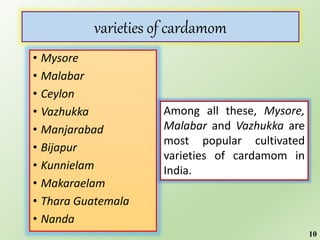 • Mysore
• Malabar
• Ceylon
• Vazhukka
• Manjarabad
• Bijapur
• Kunnielam
• Makaraelam
• Thara Guatemala
• Nanda
varieties of cardamom
Among all these, Mysore,
Malabar and Vazhukka are
most popular cultivated
varieties of cardamom in
India.
10
 