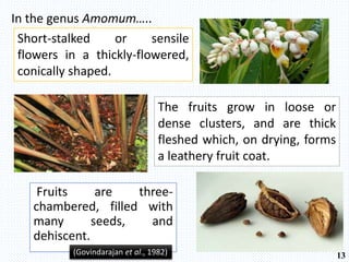 Fruits are three-
chambered, filled with
many seeds, and
dehiscent.
In the genus Amomum…..
Short-stalked or sensile
flowers in a thickly-flowered,
conically shaped.
The fruits grow in loose or
dense clusters, and are thick
fleshed which, on drying, forms
a leathery fruit coat.
(Govindarajan et al., 1982) 13
 