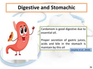 Digestive and Stomachic
Cardamom is good digestive due to
essential oil.
Proper secretion of gastric juices,
acids and bile in the stomach is
maintain by this oil
(Jesylne et al., 2016)
31
 