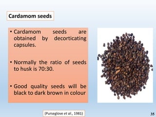 • Cardamom seeds are
obtained by decorticating
capsules.
• Normally the ratio of seeds
to husk is 70:30.
• Good quality seeds will be
black to dark brown in colour
Cardamom seeds
(Purseglove et al., 1981) 35
 