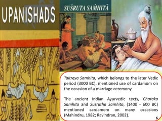 Taitreya Samhita, which belongs to the later Vedic
period (3000 BC), mentioned use of cardamom on
the occasion of a marriage ceremony.
The ancient Indian Ayurvedic texts, Charaka
Samhita and Susrutha Samhita, (1400 - 600 BC)
mentioned cardamom on many occasions
(Mahindru, 1982; Ravindran, 2002).
6
 