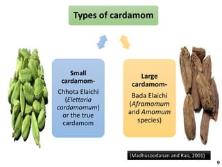 Types of cardamom
Large
cardamom-
Bada Elaichi
(Aframomum
and Amomum
species)
Small
cardamom-
Chhota Elaichi
(Elettaria
cardamomum)
or the true
cardamom
(Madhusoodanan and Rao, 2001)
9
 
