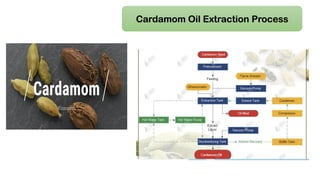 Cardamom Oil Extraction Process
 