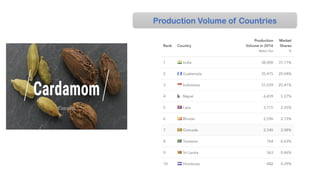 Production Volume of Countries
 