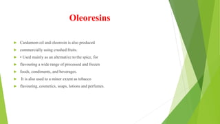 Oleoresins
 Cardamom oil and oleoresin is also produced
 commercially using crushed fruits.
 • Used mainly as an alternative to the spice, for
 flavouring a wide range of processed and frozen
 foods, condiments, and beverages.
 It is also used to a minor extent as tobacco
 flavouring, cosmetics, soaps, lotions and perfumes.
 