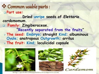  Part use:
Dried unripe seeds of Elettaria
cardamomum.
 Family: Zingiberaceae.
“Recently separated from the fruits”
 The seed: Embryo; straight Kind; albuminous
Ovule; anatropous Outgrowth; arrilus
 The fruit: Kind; loculicidal capsule
11
Common usable parts :
 