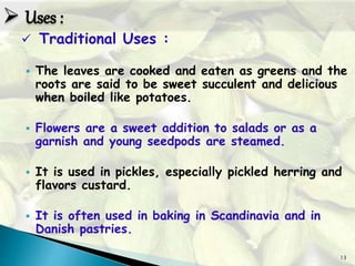 13
 Traditional Uses :
 The leaves are cooked and eaten as greens and the
roots are said to be sweet succulent and delicious
when boiled like potatoes.
 Flowers are a sweet addition to salads or as a
garnish and young seedpods are steamed.
 It is used in pickles, especially pickled herring and
flavors custard.
 It is often used in baking in Scandinavia and in
Danish pastries.
 Uses :
 