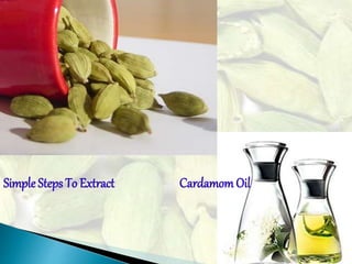 Simple Steps To Extract CardamomOil
 