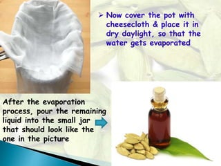  Now cover the pot with
cheesecloth & place it in
dry daylight, so that the
water gets evaporated
After the evaporation
process, pour the remaining
liquid into the small jar
that should look like the
one in the picture
 