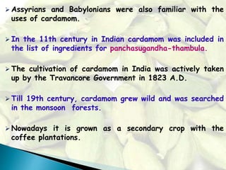  Assyrians and Babylonians were also familiar with the
uses of cardamom.
 In the 11th century in Indian cardamom was included in
the list of ingredients for panchasugandha-thambula.
 The cultivation of cardamom in India was actively taken
up by the Travancore Government in 1823 A.D.
 Till 19th century, cardamom grew wild and was searched
in the monsoon forests.
 Nowadays it is grown as a secondary crop with the
coffee plantations.
 