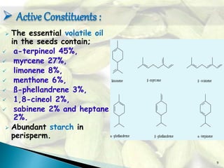 9
 The essential volatile oil
in the seeds contain;
 a-terpineol 45%,
 myrcene 27%,
 limonene 8%,
 menthone 6%,
 ß-phellandrene 3%,
 1,8-cineol 2%,
 sabinene 2% and heptane
2%.
 Abundant starch in
perisperm.
 Active Constituents :
 