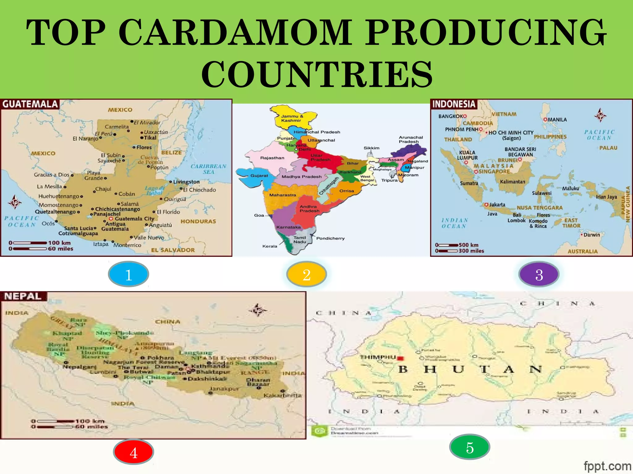 TOP CARDAMOM PRODUCING
COUNTRIES
1 2
4 5
3
 
