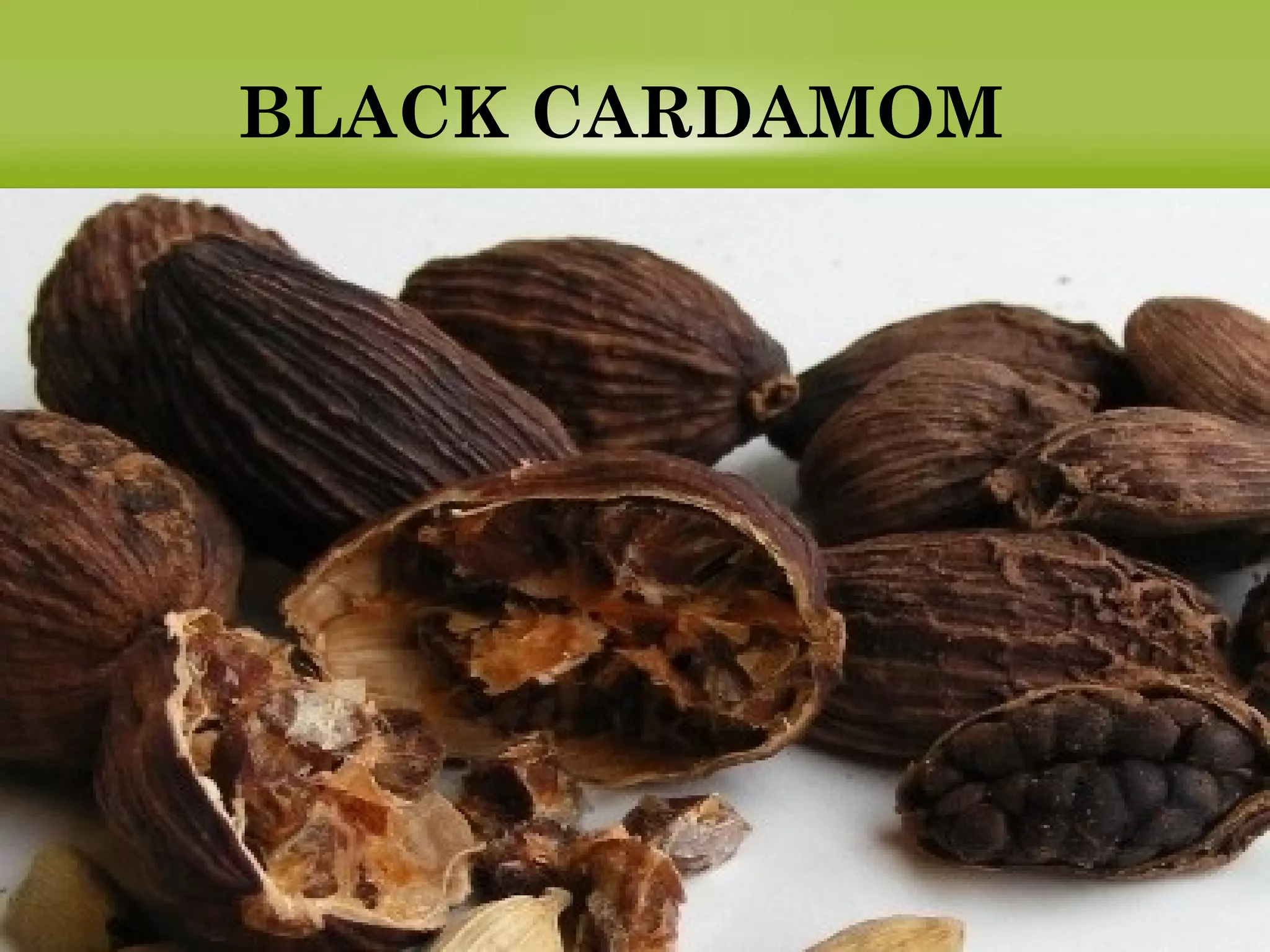 BLACK CARDAMOM
 