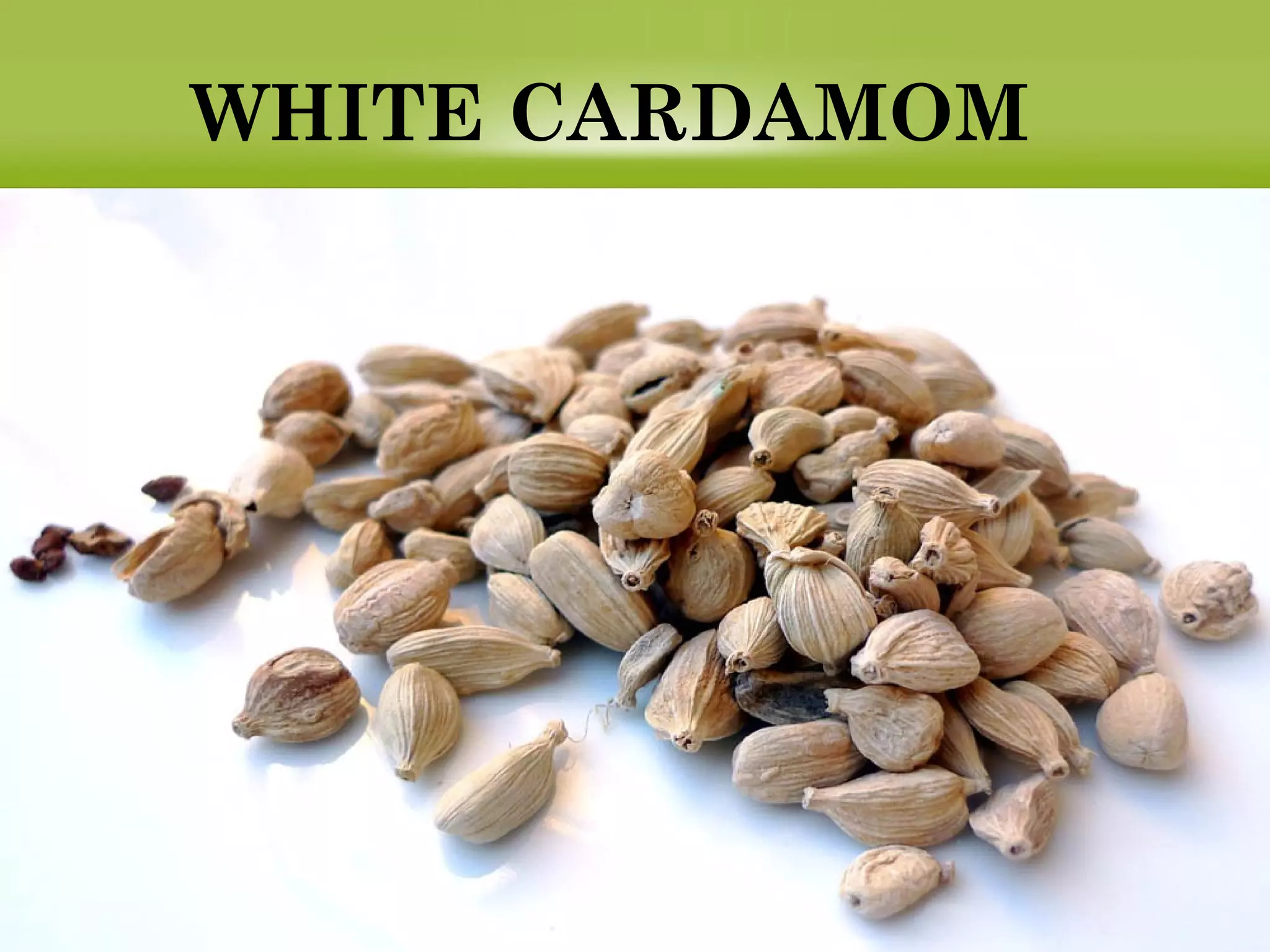 WHITE CARDAMOM
 