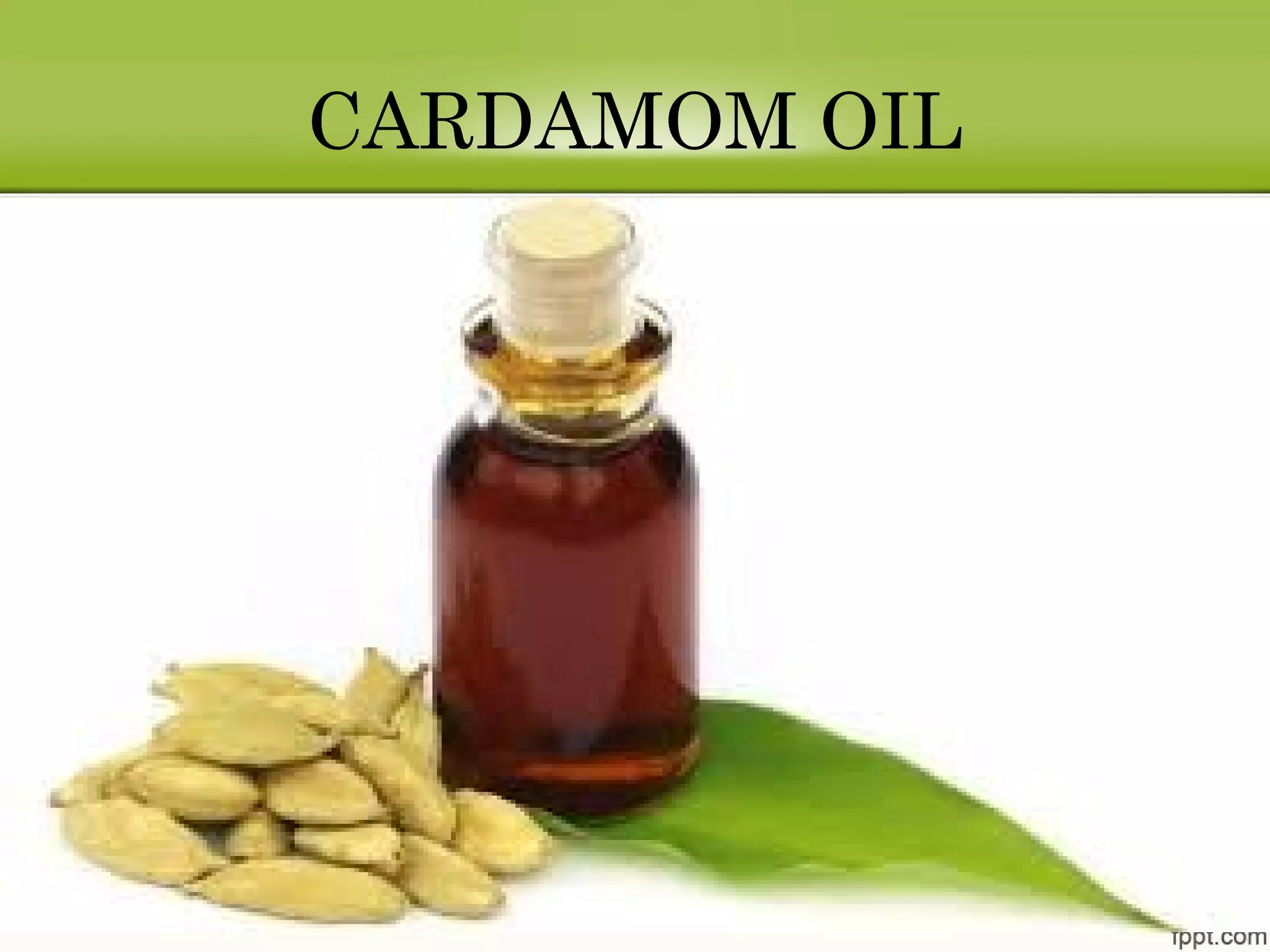 CARDAMOM OIL
 