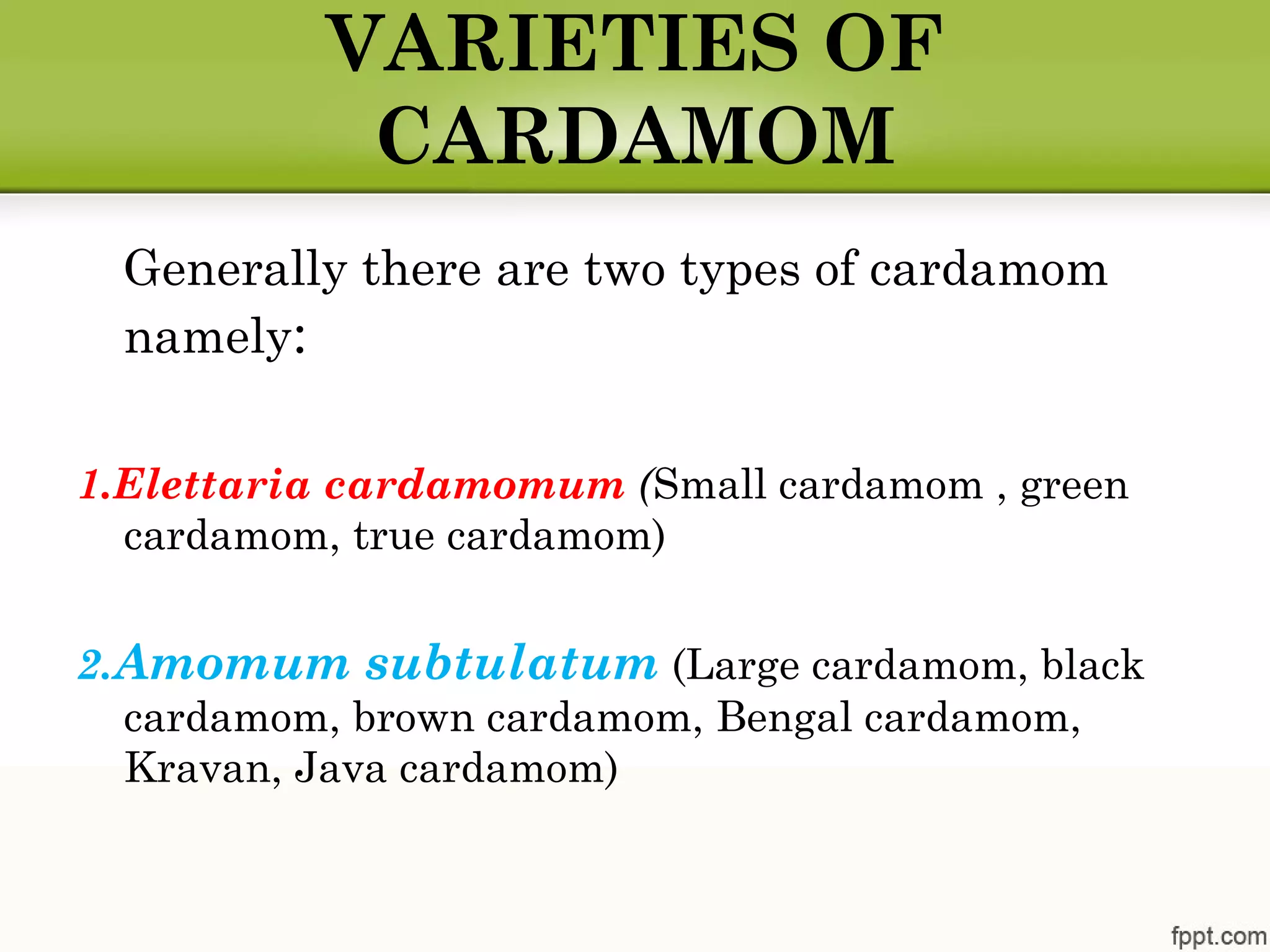 VARIETIES OF
CARDAMOM
Generally there are two types of cardamom
namely:
1.Elettaria cardamomum (Small cardamom , green
cardamom, true cardamom)
2.Amomum subtulatum (Large cardamom, black
cardamom, brown cardamom, Bengal cardamom,
Kravan, Java cardamom)
 