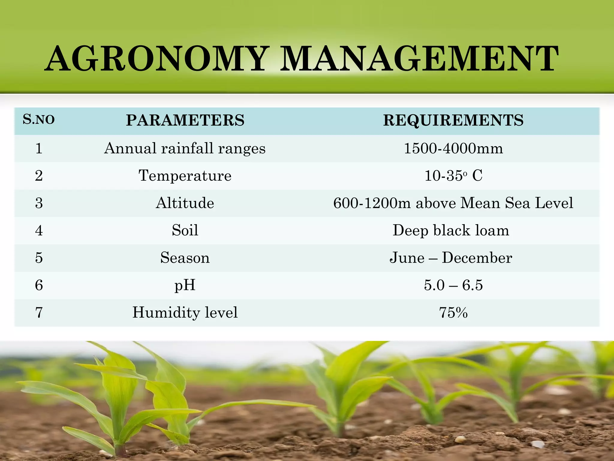 AGRONOMY MANAGEMENT
S.NO PARAMETERS REQUIREMENTS
1 Annual rainfall ranges 1500-4000mm
2 Temperature 10-35o
 C
3 Altitude 600-1200m above Mean Sea Level
4 Soil Deep black loam 
5 Season June – December 
6 pH 5.0 – 6.5
7 Humidity level 75%
 