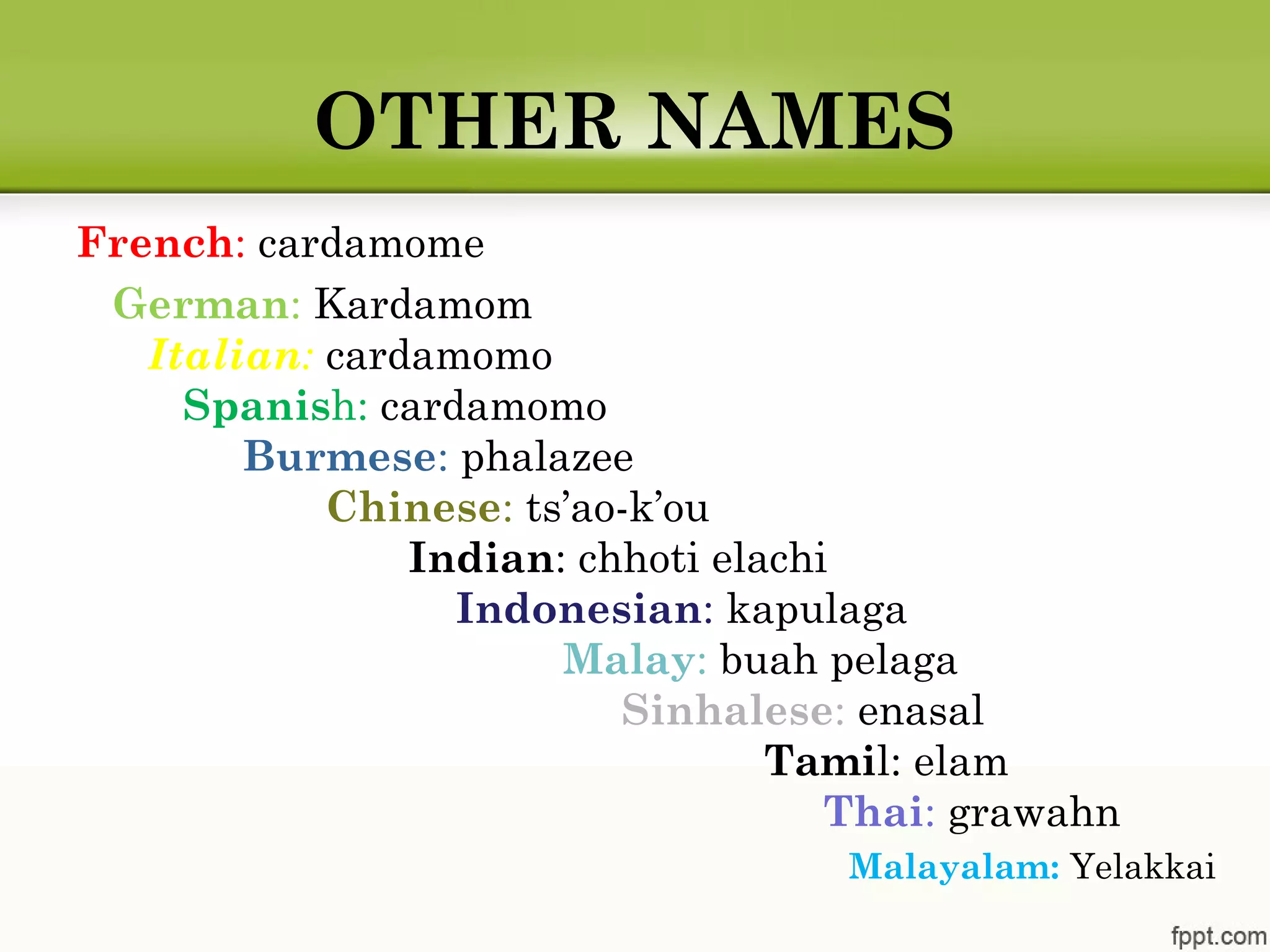 OTHER NAMES
French: cardamome 
German: Kardamom 
Italian: cardamomo
Spanish: cardamomo 
Burmese: phalazee 
Chinese: ts’ao-k’ou 
Indian: chhoti elachi
Indonesian: kapulaga 
Malay: buah pelaga 
Sinhalese: enasal 
Tamil: elam 
Thai: grawahn
Malayalam: Yelakkai 
 