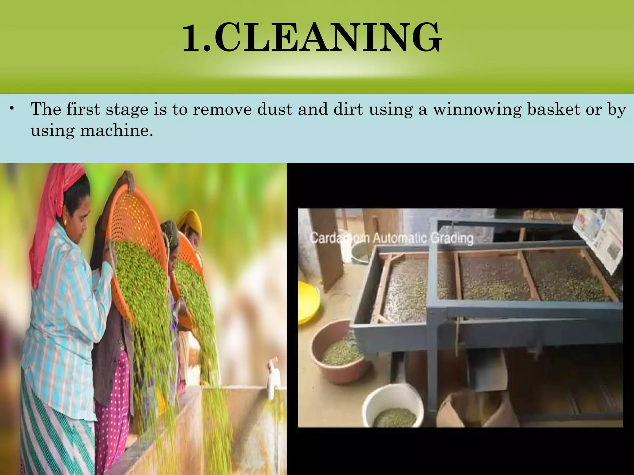 1.CLEANING
• The first stage is to remove dust and dirt using a winnowing basket or by
using machine.
 