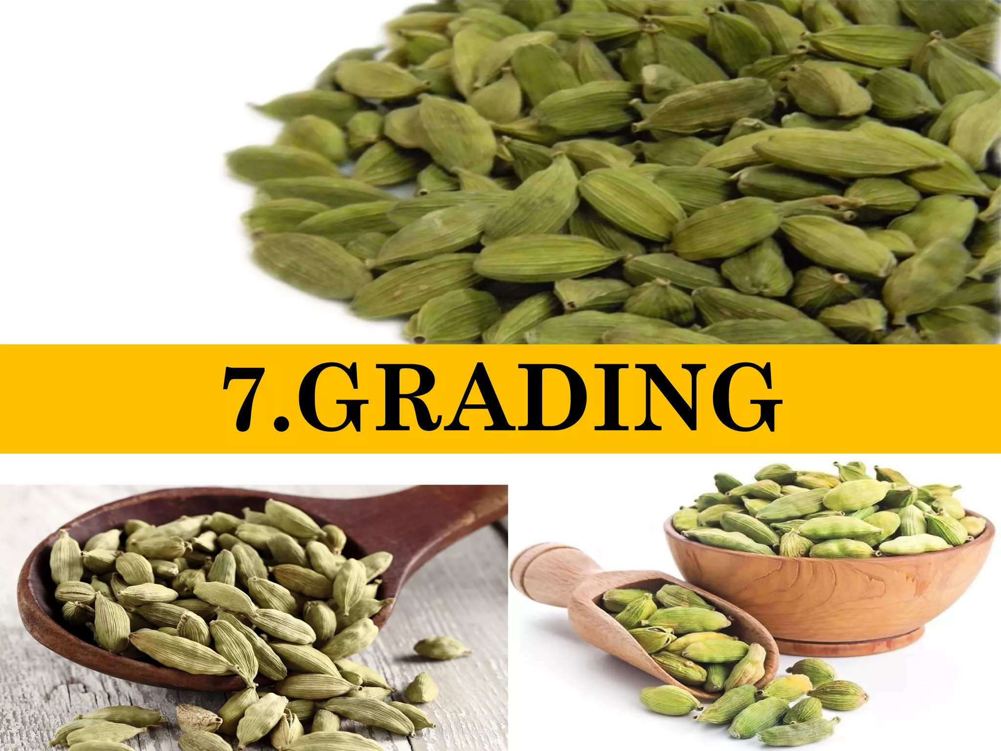 7.GRADING
 