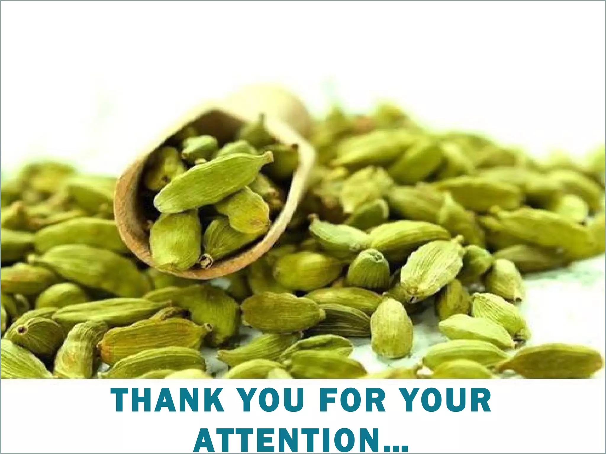 THANK YOU FOR YOUR
ATTENTION…
 