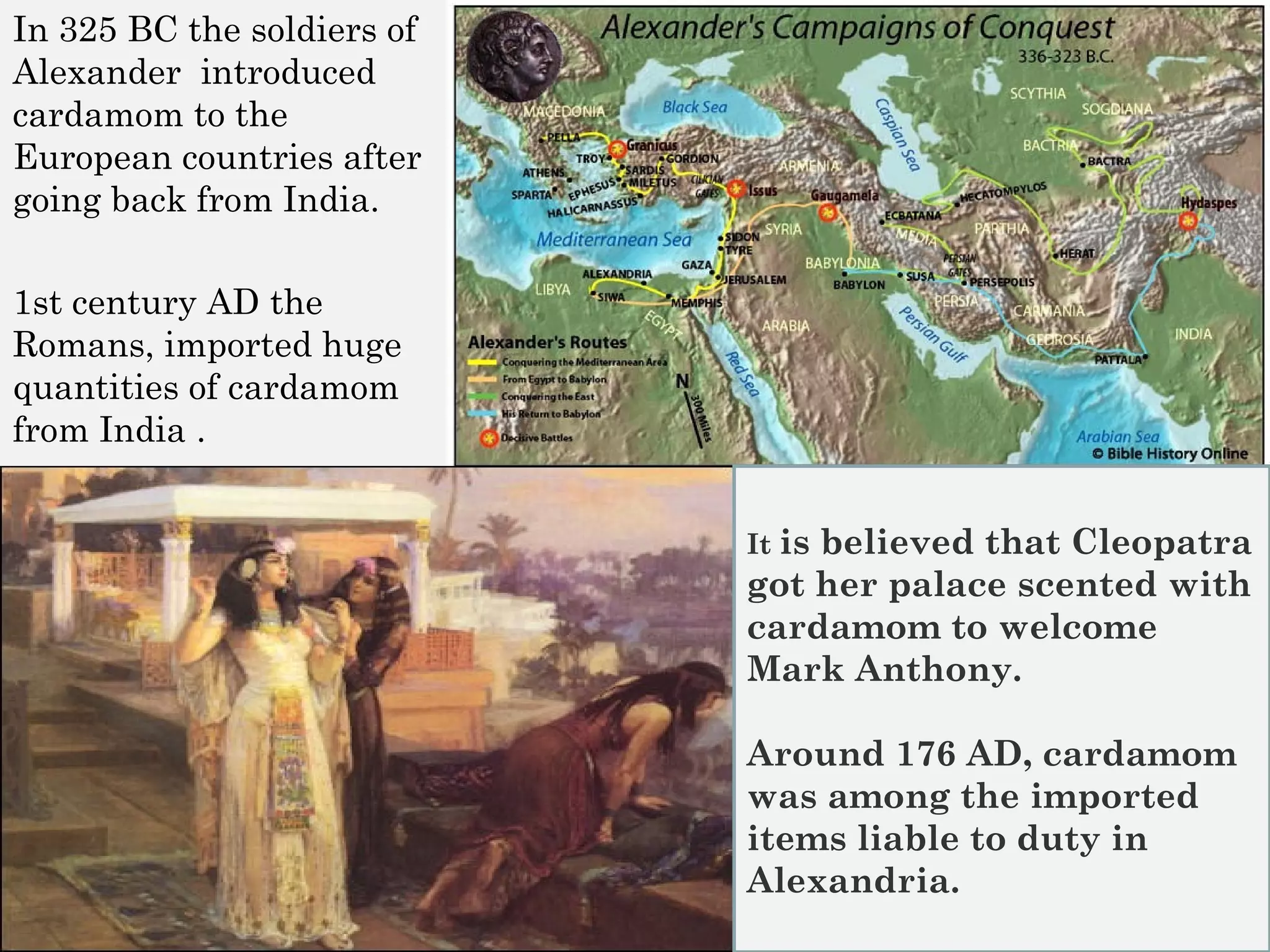 In 325 BC the soldiers of
Alexander introduced
cardamom to the
European countries after
going back from India.
1st century AD the
Romans, imported huge
quantities of cardamom
from India .
It is believed that Cleopatra
got her palace scented with
cardamom to welcome
Mark Anthony.
Around 176 AD, cardamom
was among the imported
items liable to duty in
Alexandria.
 