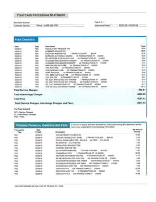CardConnect B2B Sample Statement | PDF