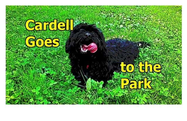 Cardell Goes To The Park
© 2015 Joe Ditzel
All Rights Reserved
 