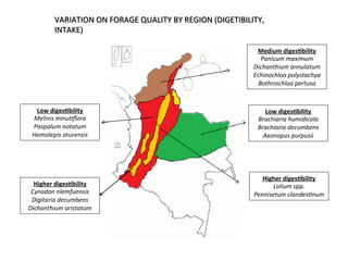 Cardenas Emissions factors livestock systems Colombia Nov 11 2014