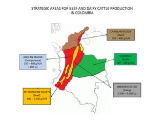 Cardenas Emissions factors livestock systems Colombia Nov 11 2014