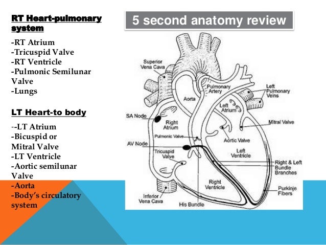 Hemodynamic Values Chart