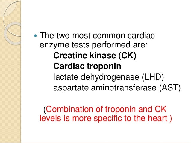 function test heart function Cardiac test